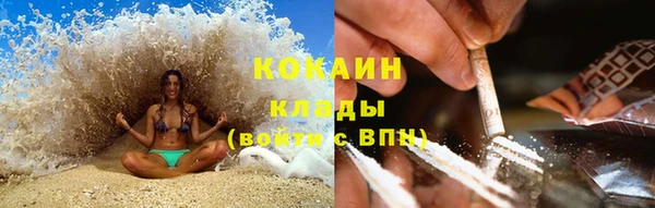 соль ск Алзамай