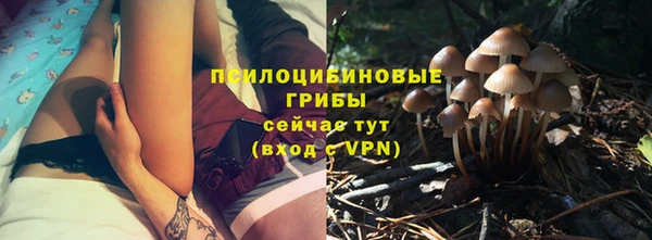 дурь Алексин