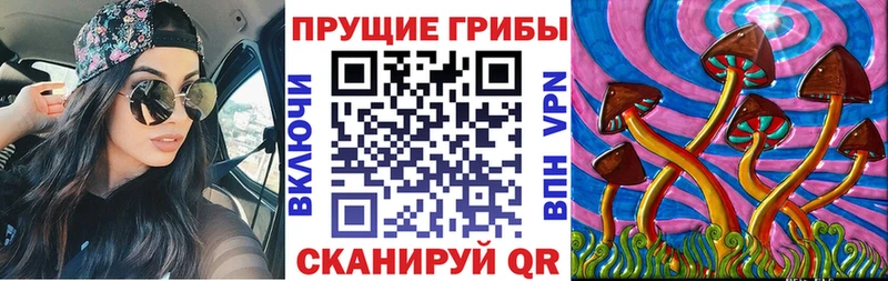 где купить наркоту Заполярный Галлюциногенные грибы Psilocybine cubensis